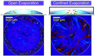 Graphical abstract: Controlled nucleation in evaporative crystallization using a confined-vapor driven solutal Marangoni effect