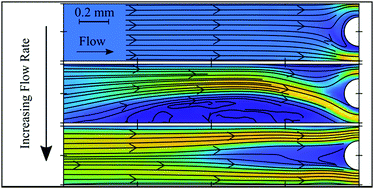 Graphical abstract: Upstream wall vortices in viscoelastic flow past a cylinder