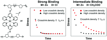 Graphical abstract: Bond strength regime dictates stress relaxation behavior