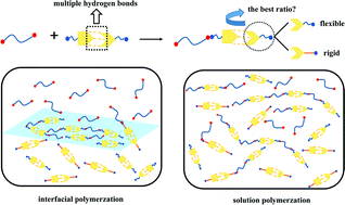 Graphical abstract: Understanding of supramolecular solution polymerization and interfacial polymerization via forming multiple hydrogen bonds: a computer simulation study