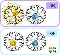 Graphical abstract: Single atoms and small clusters of atoms may accompany Au and Pd dendrimer-encapsulated nanoparticles