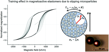 Graphical abstract: Magnetization of magnetoactive elastomers under the assumption of breakable adhesion at the particle/matrix interface