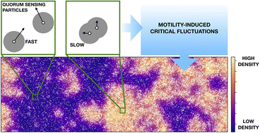 Graphical abstract: Critical behavior of quorum-sensing active particles