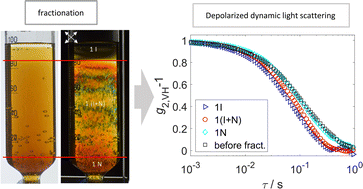 Graphical abstract: Dynamic light scattering analysis of size-selected graphene oxide 2D colloids fractioned via liquid crystal phase separation