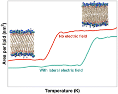 Graphical abstract: A lateral electric field inhibits gel-to-fluid transition in lipid bilayers