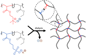 Graphical abstract: Highly stretchable ionically crosslinked acrylate elastomers inspired by polyelectrolyte complexes