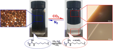 Graphical abstract: Reversible stability of colloids switched by CO2 based on polyhexamethylene guanidine