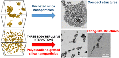 Graphical abstract: Controlling the anisotropic self-assembly of polybutadiene-grafted silica nanoparticles by tuning three-body interaction forces