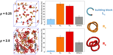 Graphical abstract: Density-tunable pathway complexity in a minimalistic self-assembly model