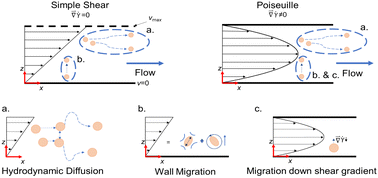 Graphical abstract: Application of droplet migration scaling behavior to microchannel flow measurements