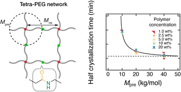 Graphical abstract: Effects of network junctions and defects on the crystallization of model poly(ethylene glycol) networks
