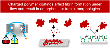 Graphical abstract: Fibrin formation and fractal organization at cationic, anionic, and zwitterionic polymer coated interfaces