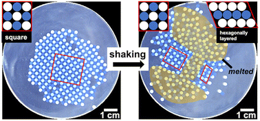 Graphical abstract: Melting of a macroscale binary Coulombic crystal