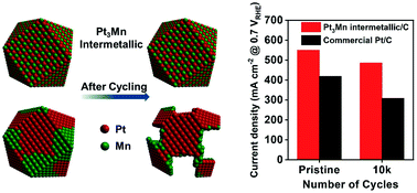 Graphical abstract: Atomically ordered Pt3Mn intermetallic electrocatalysts for the oxygen reduction reaction in fuel cells