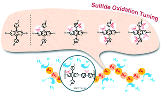 Graphical abstract: Sulfide oxidation tuning in 4,8-bis(5-(2-ethylhexyl)thiophen-2-yl)benzo[1,2-b:4,5-b′]dithiophene based dual acceptor copolymers for highly efficient photocatalytic hydrogen evolution