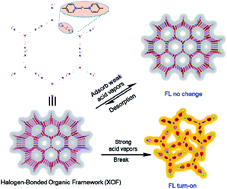Graphical abstract: An amino-type halogen-bonded organic framework for the selective adsorption of aliphatic acid vapors: insight into the competitive interactions of halogen bonds and hydrogen bonds