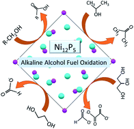 Graphical abstract: Alcohol oxidation with high efficiency and selectivity by nickel phosphide phases