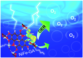 Graphical abstract: Bioinspired NiFe–gallate metal–organic frameworks for highly efficient oxygen evolution electrocatalysis