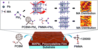 Graphical abstract: CH3NH3+ and Pb immobilization through PbI2 binding by organic molecule doping for homogeneous organometal halide perovskite films
