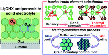 Graphical abstract: Li-ion conductivity in Li2OHCl1−xBrx solid electrolytes: grains, grain boundaries and interfaces