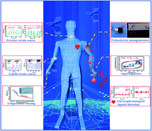 Graphical abstract: A tough organohydrogel-based multiresponsive sensor for a triboelectric nanogenerator and supercapacitor toward wearable intelligent devices