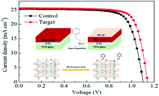 Graphical abstract: Surface fluoride management for enhanced stability and efficiency of halide perovskite solar cells via a thermal evaporation method