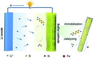 Graphical abstract: Self-standing sulfur cathodes enabled by a single Fe site decorated fibrous membrane for durable lithium–sulfur batteries