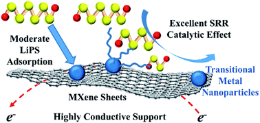Graphical abstract: MXene supported transition metal nanoparticles accelerate sulfur reduction reaction kinetics