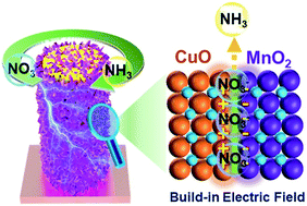 Graphical abstract: Interface coupling induced built-in electric fields boost electrochemical nitrate reduction to ammonia over CuO@MnO2 core–shell hierarchical nanoarrays