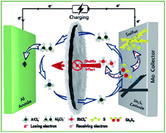 Graphical abstract: Multivalent cationic and anionic mixed redox of an Sb2S3 cathode toward high-capacity aluminum ion batteries