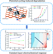 Graphical abstract: Mechanistic interactions in polymer electrolyte fuel cell catalyst layer degradation