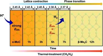 Graphical abstract: Phase-transition engineering induced lattice contraction of the molybdenum carbide surface for highly efficient hydrogen evolution reaction