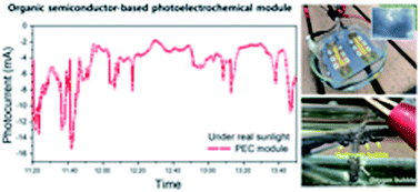 Graphical abstract: A long-term stable organic semiconductor photocathode-based photoelectrochemical module system for hydrogen production