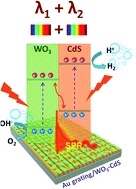 Graphical abstract: A surface plasmon polariton-triggered Z-scheme for overall water splitting and solely light-induced hydrogen generation