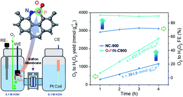 Graphical abstract: Oxygenated P/N co-doped carbon for efficient 2e− oxygen reduction to H2O2