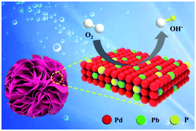 Graphical abstract: Phosphorus-triggered activation of PdPb nanoflowers for enhanced oxygen reduction electrocatalysis