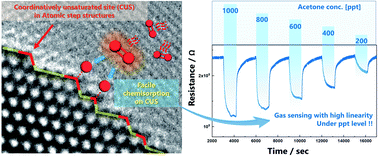 Graphical abstract: Atomic step formation on porous ZnO nanobelts: remarkable promotion of acetone gas detection up to the parts per trillion level