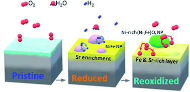 Graphical abstract: Tracking the nanoparticle exsolution/reoxidation processes of Ni-doped SrTi0.3Fe0.7O3−δ electrodes for intermediate temperature symmetric solid oxide fuel cells