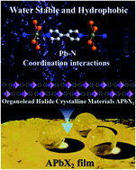 Graphical abstract: Water-stable and hydrophobicity tunable organolead halide materials with Pb–N coordination for electrochemical CO2 reduction