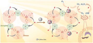 Graphical abstract: Carbon dots as an electron extractant for enhanced photocatalytic antibacterial activity of covalent organic frameworks