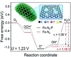 Graphical abstract: Boosting the oxygen reduction reaction behaviour of atomic Fe–N4 active sites in porous honeycomb-like carbon via P heteroatom doping
