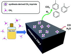 Graphical abstract: Methane assisted catalyst synthesis and catalytic conversion of oleic acid