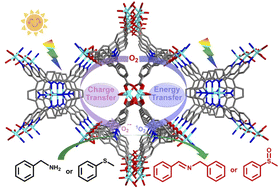 Graphical abstract: Effective charge and energy transfers within a metal–organic framework for efficient photocatalytic oxidation of amines and sulfides