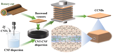 Graphical abstract: High-performance carbon nanotube-cellulose nanofiber bulk materials with multifunctional applications in thermal management and shielding from electromagnetic interference