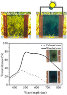 Graphical abstract: Fabrication of dual-functional electrochromic smart window based on low-cost hybrid transparent electrode coated with a solution-processable polymer