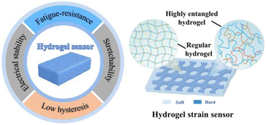 Graphical abstract: Stretchable strain sensor of composite hydrogels with high fatigue resistance and low hysteresis