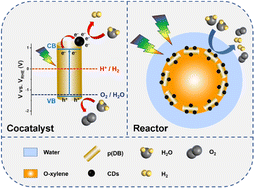 Graphical abstract: Bifunctional carbon dots as cocatalyst and reactor decorating an organic photocatalyst for H2 production from water-splitting in an emulsion