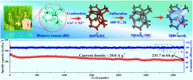 Graphical abstract: A natural juncus-derived three-dimensional interconnected tubular carbon network decorated with tiny solid-solution metal sulfide nanoparticles achieves efficient sodium storage