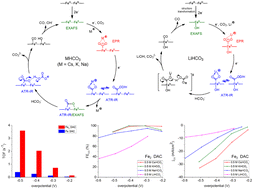 Graphical abstract: Selectivity and activity modulation of electrocatalytic carbon dioxide reduction by atomically dispersed dual iron catalysts