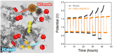 Graphical abstract: Electrochemically robust oxide-supported dendritic Pt and Ir nanoparticles for highly effective polymer electrolyte membrane-unitized regenerative fuel cells